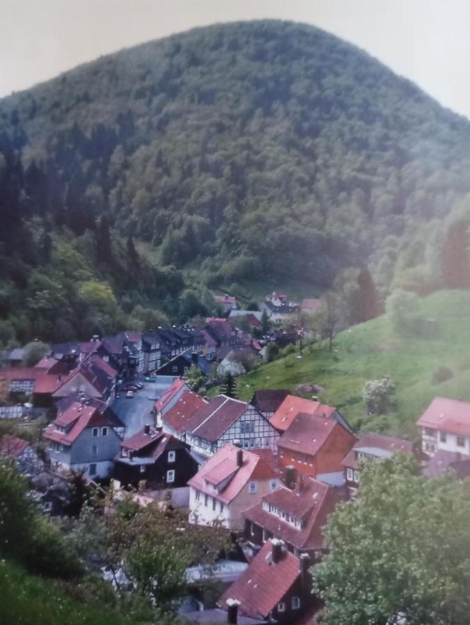 Ferienhaus Am Fluss Mit Traumhafter Dachterrasse ,Garten Und Grill Walkenried Exterior foto